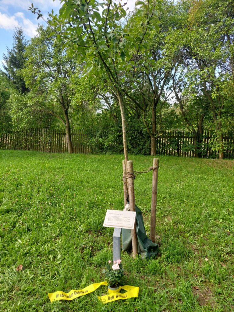 Gedenkbaum